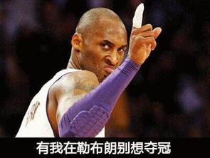 nba搞笑p图,搞笑P图集锦