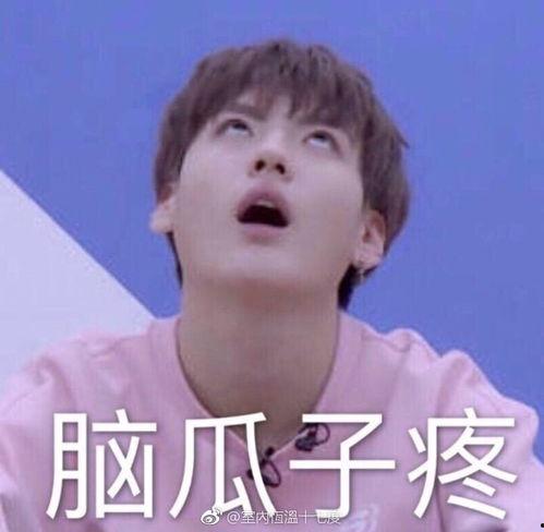 乐华表情包,趣味横生的青春记忆